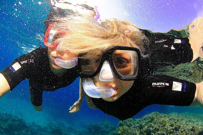 Tiran Island Snorkeling Experience by Yacht Sharm El Sheikh - Snorkeling Gear and Guide Inclusions