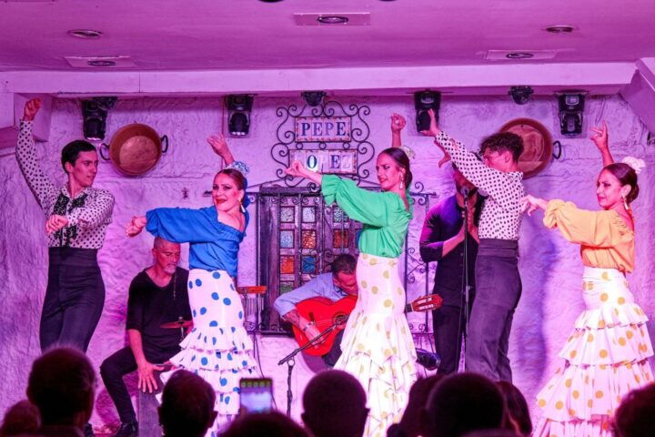 Torremolinos: Flamenco Show With Drinks - Experience Highlights