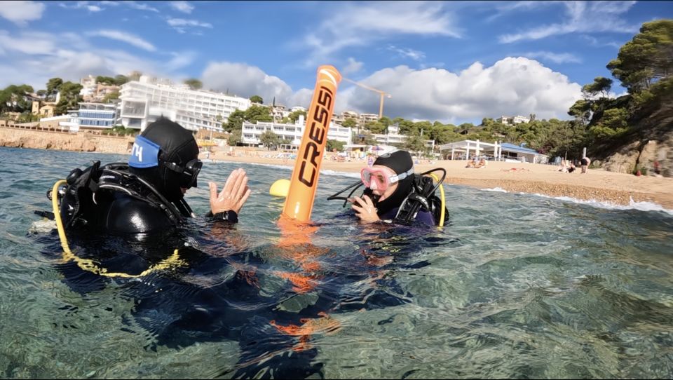 Tossa De Mar: PADI Scuba Diver Certification Course - Certification Process