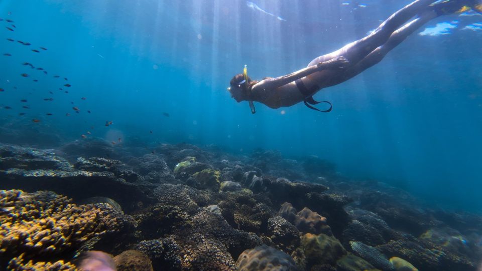 Tour Freediving Phu Quoc: Fascinating Free-Diving Moments - Booking Information