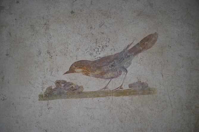 Tour in the Roman Villas of Stabiae With an Archaeologist. - Uncovering Historical Artifacts and Frescoes