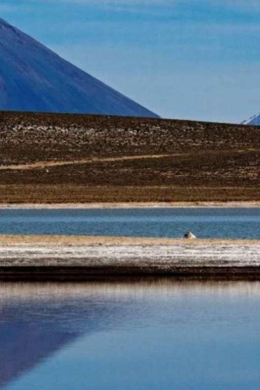 Tour of Salinas and Yanaorco Lagoons Lojen Thermal Baths - Activity Details