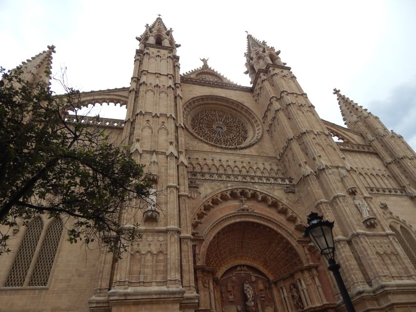 Tour Palma Old Town & Cathedral Skip-The-Line Entry--English - Itinerary