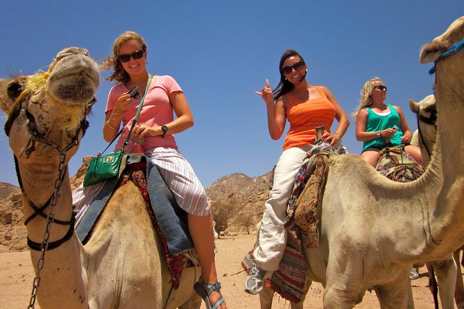Tour to the Pyramids, Egyptian Museum and Local Bazaar From Cairo - Guide and Transportation