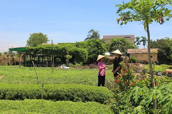 Tra Que Herb Village Farm Visit With Lunch  - Hoi An - Cancellation Policy