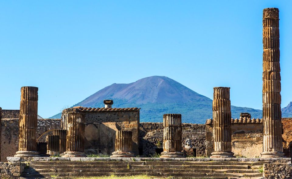 Transfer From Salerno to Rome Area & Guided Pompeii - Activity Highlights