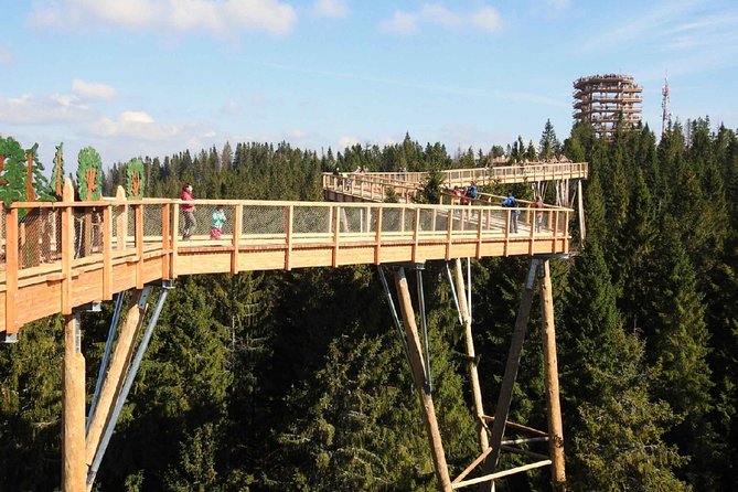 Treetop Walk in Slovakia and Thermal Baths From Krakow - Transportation Information