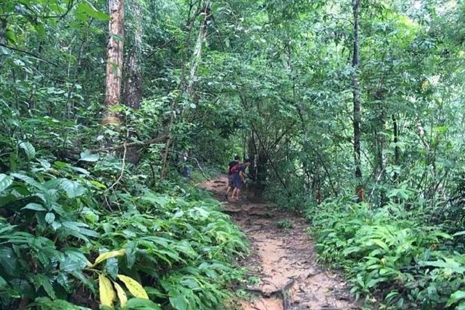 Trekking at the Monk Trail and Doi Suthep Temple Private Tour - Trekking Experience