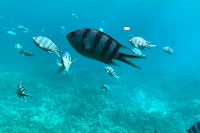 Trip on a Glass Bottom Boat From Hurghada - Additional Charges