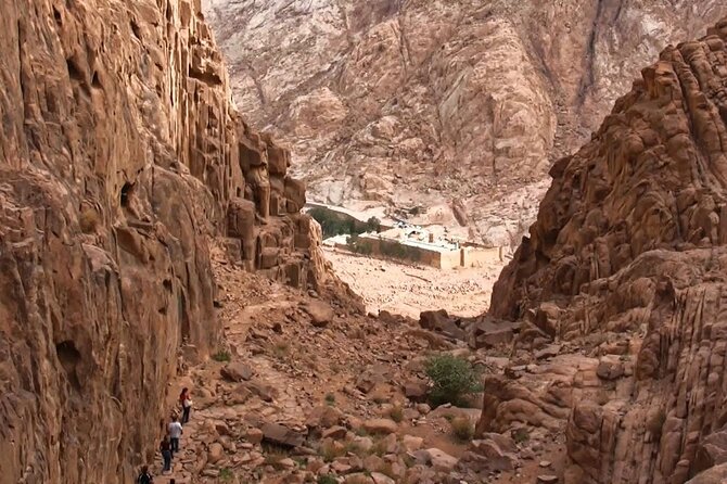 Trip To Mount Sinai & St Catherine From Cairo - Inclusions and Amenities