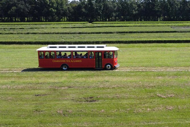 Trolley Tour in Wadmalaw Island of South Carolina - Meeting Point Details