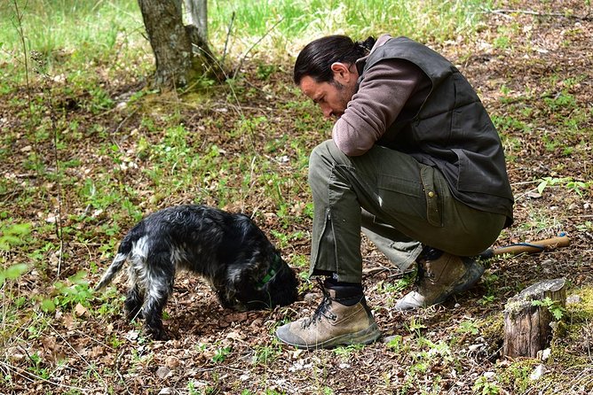 Truffle Hunt & Bio Lunch in Assisi - Logistics Details