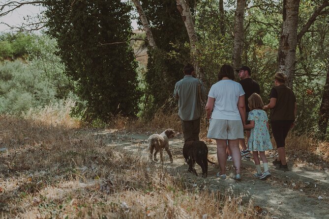 Truffle Hunt in Tuscany - Health and Safety