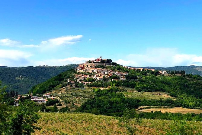 Truffle Huntig Istria Tour - 6 Days - Small/Private Group - Itinerary Highlights