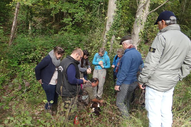 Truffle Hunting With Wine Tasting in Chianti - Pricing and Booking Details