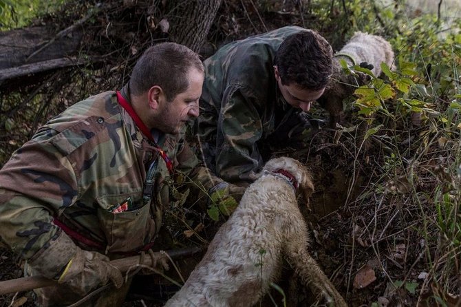 Truffle Hunting - Operational Information