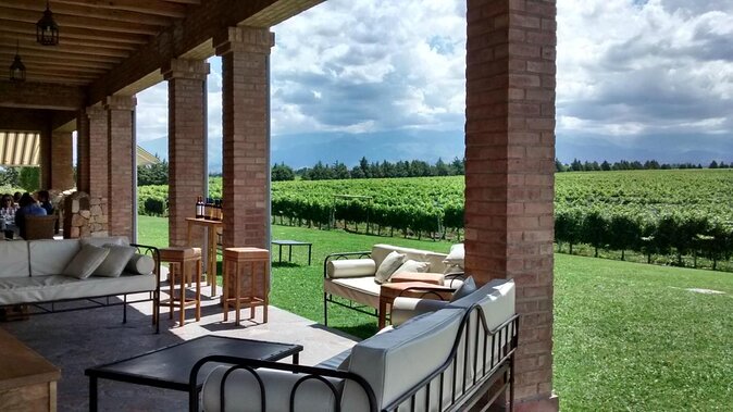 Uco Valley Wine Experience - The Best Private Wine Tour and Lunch - Expert Guided Wine Tasting