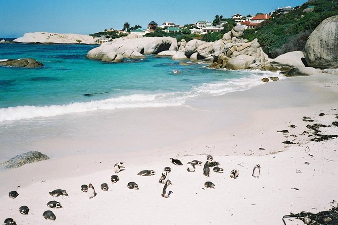 Ultimate Cape Point Tour From Cape Town - Full Day - Itinerary