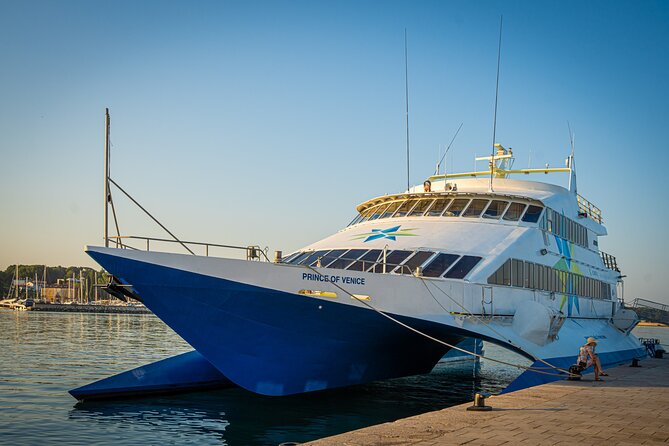 Umag to Venice Day Trip by High-Speed Catamaran - Accessibility and Requirements