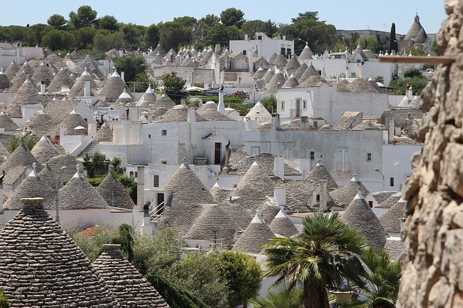 Unesco Tour From Polignano: Guided Tour of Alberobello and Matera - Reviews and Ratings