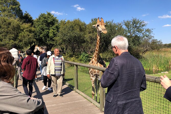 Unforgettable Lion Safari Adventure From Johannesburg - Guided Lion Encounters