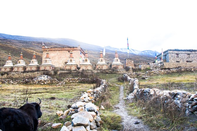 Upper Dolpo Trek - Cultural Encounters and Local Customs