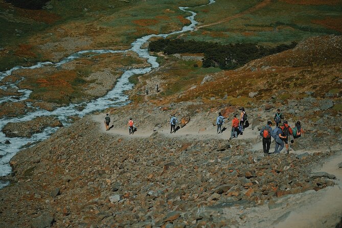 Ushuaia: Tempranos Lagoon and Glaciar Vinciguerra Hiking Tour - Customer Reviews