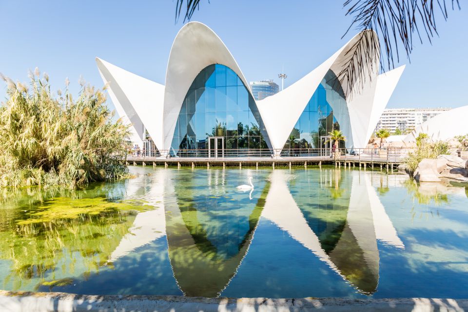 Valencia: Oceanografic, Hemisferic & Science Museum Combos - Experience Highlights