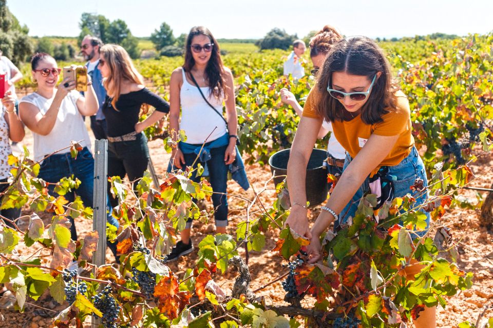 Valencia: Winery Visit With Vineyard Tour & Wine Tasting - Activity Duration and Guide