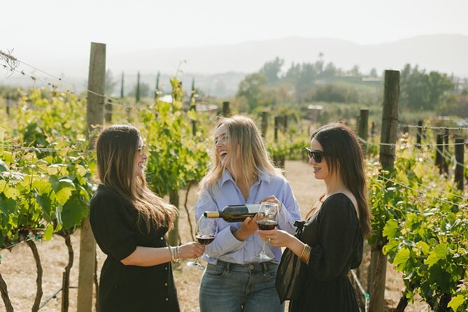 Valle De Guadalupe: Private Wineries Tour  - Ensenada - Hassle-Free Pickup Details