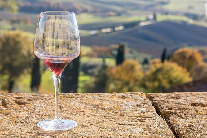 Verona Area: Wine Tasting Experience in Valpolicella - Experience Details