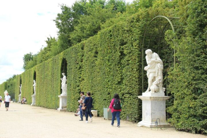 Versailles: Garden Private Guided Tour & Palace Entry Ticket - Tour Highlights