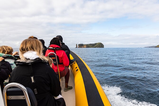 Vila Franca Islet Off-coast Nature Reserve Tour - Requirements and Weather Policies