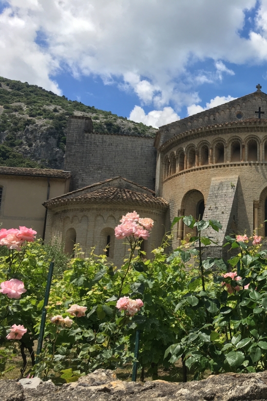 Vineyards and Village of the Languedoc - Tour Highlights and Activities