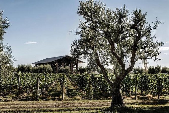 Vineyards With Wine Tasting in Mendoza - Tour Logistics
