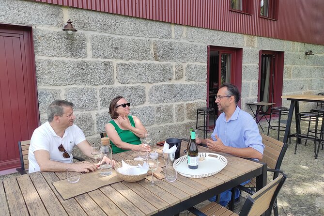 Vinho Verde 2 Wineries in Guimarães - From Porto - Transportation Options From Porto