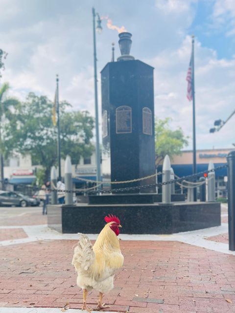 VIP Walking Tour of Little Havana - Cultural Immersion