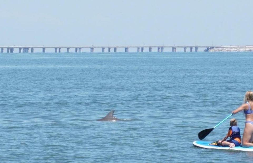 Virginia Beach: Dolphin Stand-Up Paddleboard Tour - Experience Highlights