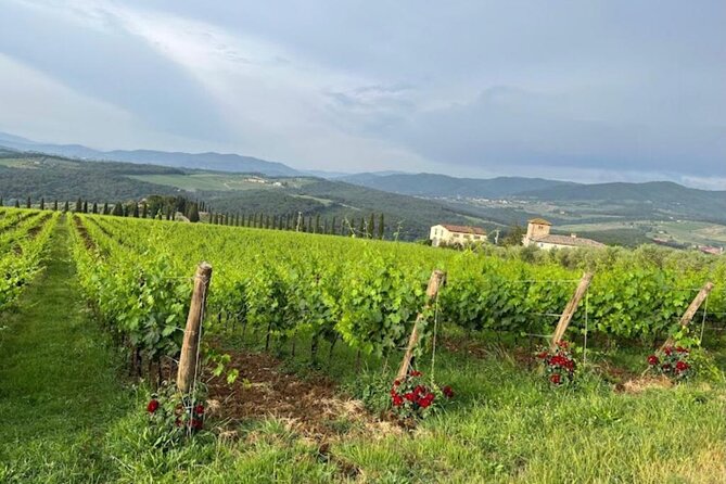 Visit Of The Chianti Classico And The Tuscan Countryside - Winery Tours and Tastings