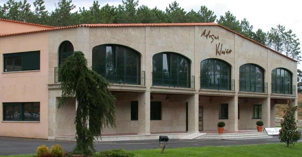 Visit to the Adegas Valmiñor Winery and Tasting - Booking Information