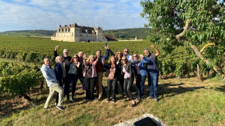 Vosne-Romanée: Private Vineyards Walking Tour With Tasting - Experience Highlights