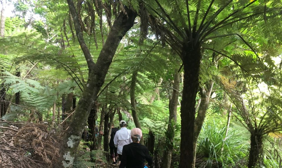 Waiheke Island: 5-Day Self-Guided Te Ara Hura Walk - Full Description