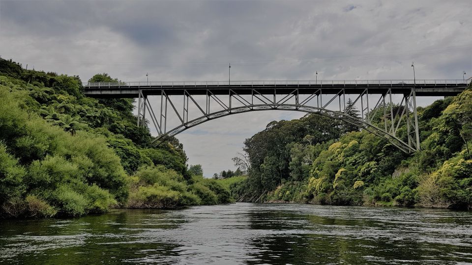 Waikato River: 1-Hour Ecological River Cruise - Activity Highlights
