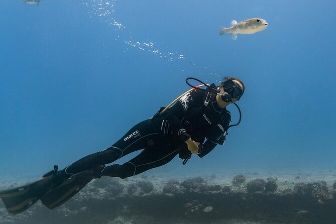Waikiki Small-Group Beginner Scuba Dive  - Oahu - Expectations and Requirements