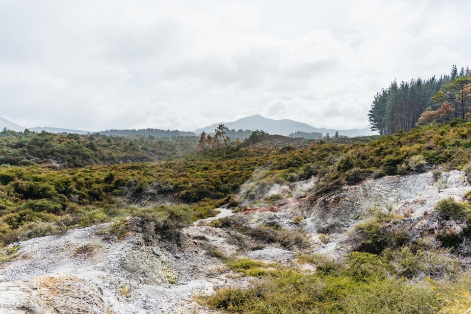 Waiotapu: Thermal Park and Lady Knox Geyser Entry Ticket - Park Highlights