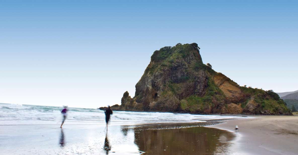 Waitakere Ranges Wilderness Experience Tour From Auckland - Tour Experience