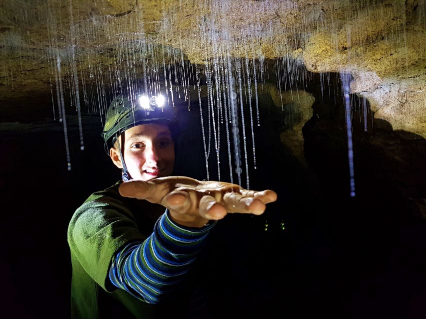Waitomo: Guided Eco-Cave Tour - Experience Highlights