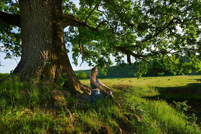 Walk And Meditative Yoga Session In Nature Under Cork Trees - Mindful Walking Techniques