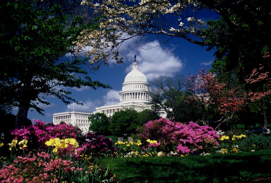 Washington, DC: Monuments and Memorials Photography Lesson - Highlights of the Photography Experience