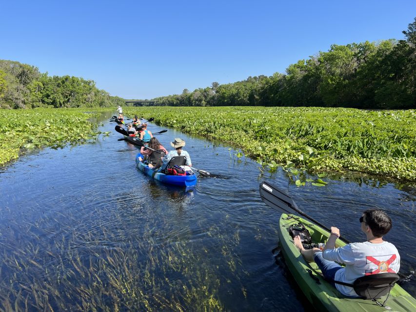 Wekiva Wildlife Kayaking Adventure Tour - Experience